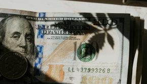 Cannabis Business - Cannabis - USD - Photo by Elsa Olofsson on Unsplash - legalizing cannabis
