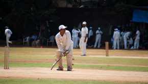Cricket