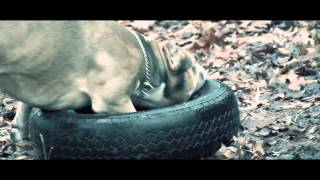 Veinte Weeks - Treat You Like A Pit