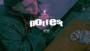 Rob daMFmastermind Rotandi - Potfest - single artwork