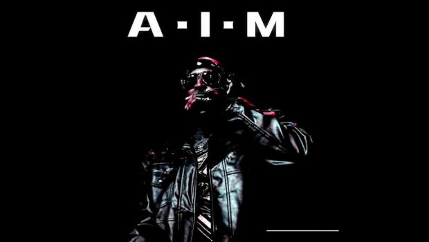 SJ The Artist - A.I.M - cover art