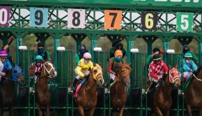 Horse Racing - Photo by Taylor Sondgeroth on Unsplash - Equestrian Sports