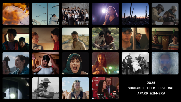 Sundance Film Festival Winners Collage