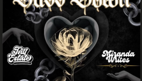 Shawn B - Buss Down - feat Miranda Writes - remix - artwork