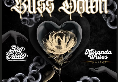 Shawn B - Buss Down - feat Miranda Writes - remix - artwork